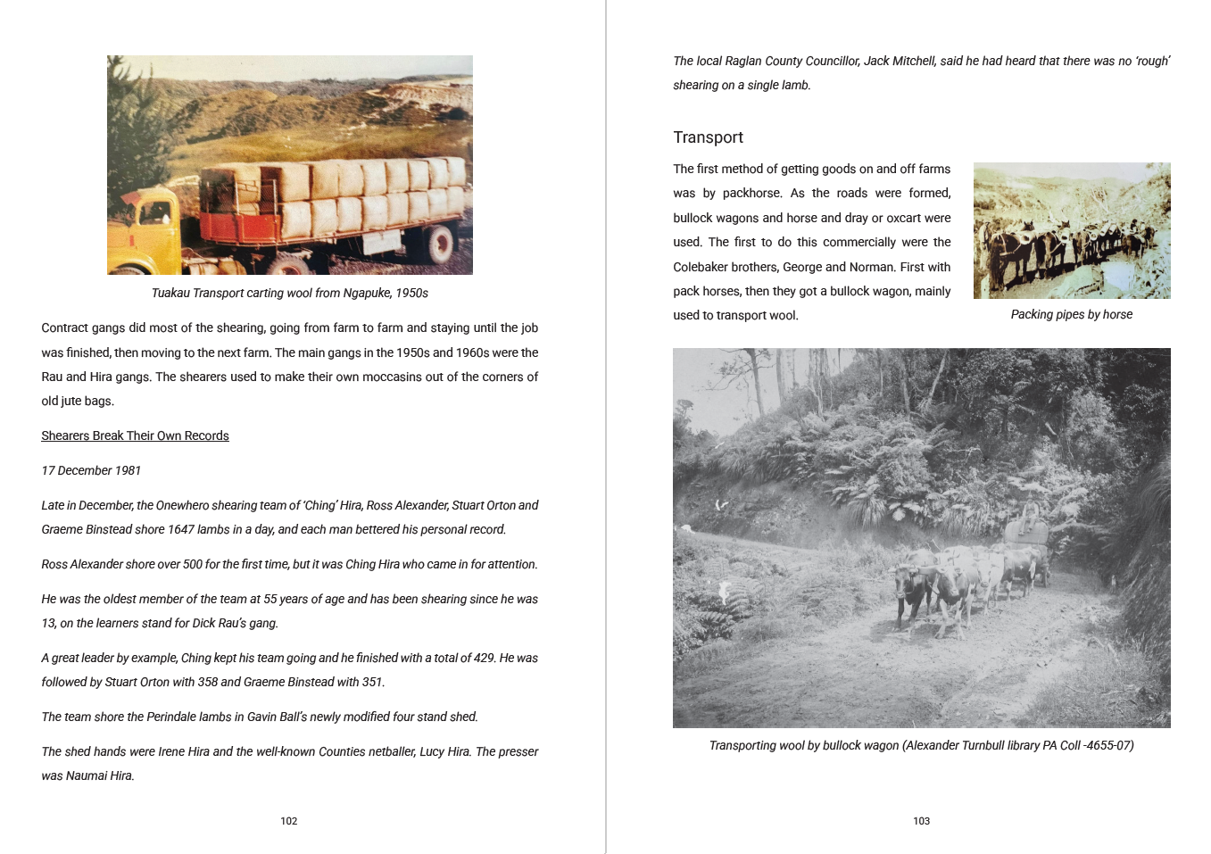 Wairamarama book, page sample